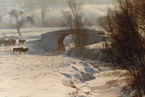 Weake river bridge 1981
