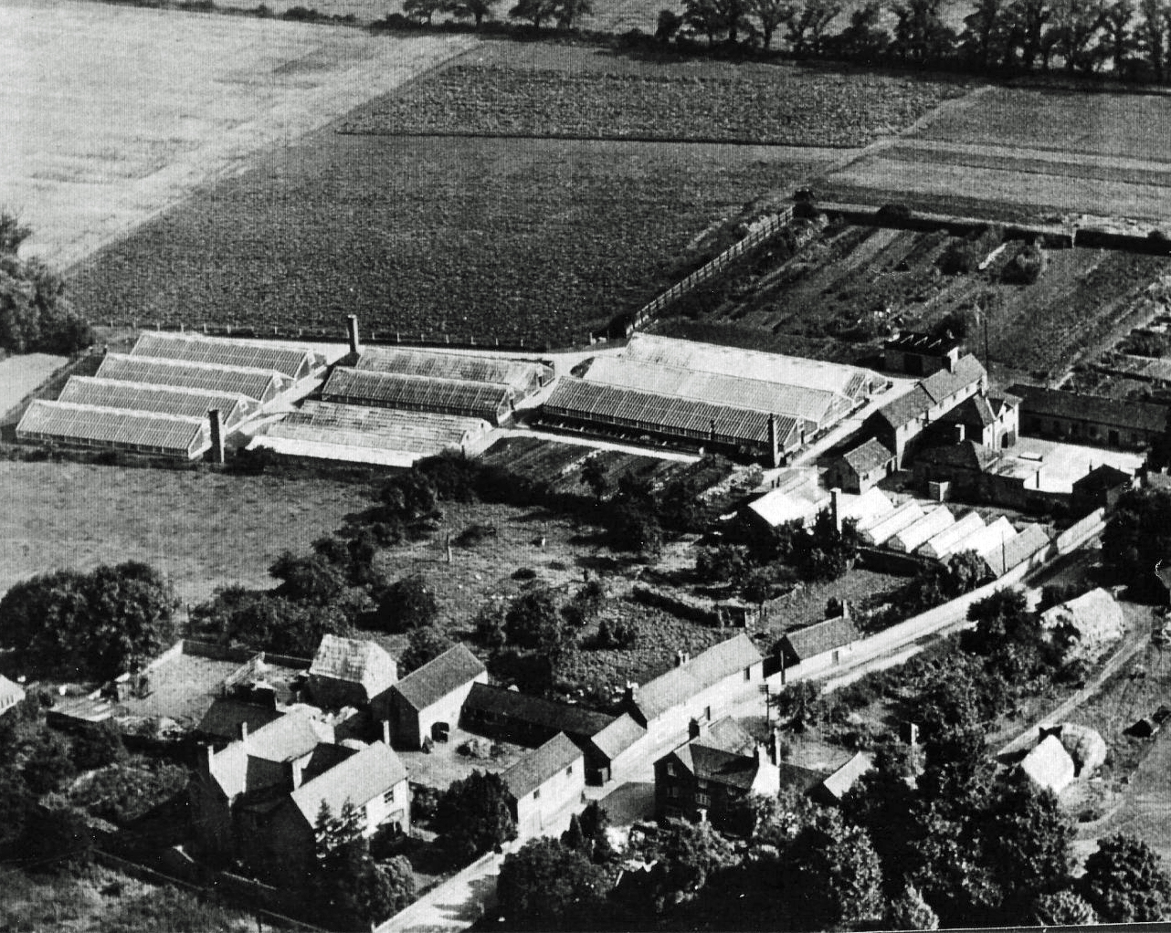 Leicester Corporation Plant nursery, later as Leicester change to a city Leicester City Nursery Rotherby
